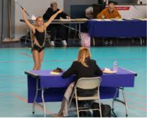 Juge pratique technique