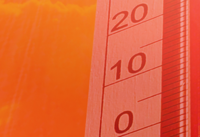 ALERTE CANICULE
